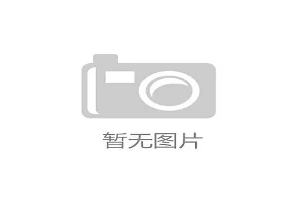斯托克城足球俱乐部发展历程与未来战略全解析